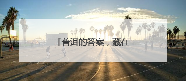 普洱的答案，藏在万物共生的和鸣里