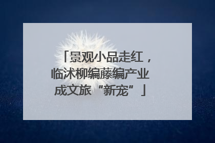 景观小品走红，临沭柳编藤编产业成文旅“新宠”