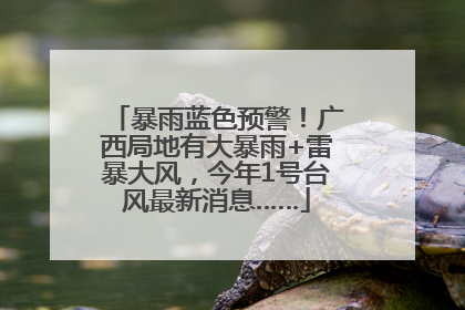 暴雨蓝色预警！广西局地有大暴雨+雷暴大风，今年1号台风最新消息……