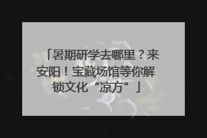 暑期研学去哪里？来安阳！宝藏场馆等你解锁文化“凉方”