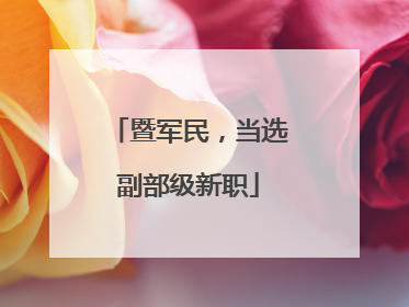 暨军民，当选副部级新职