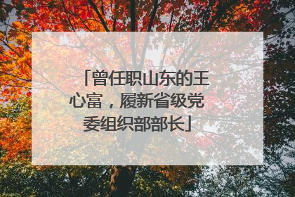 曾任职山东的王心富，履新省级党委组织部部长