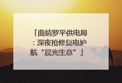 曲靖罗平供电局：深夜抢修复电护航“晨光生意”