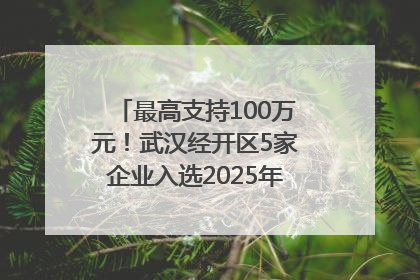 最高支持100万元！武汉经开区5家企业入选2025年度武汉市重点研发计划拟立项项目名单