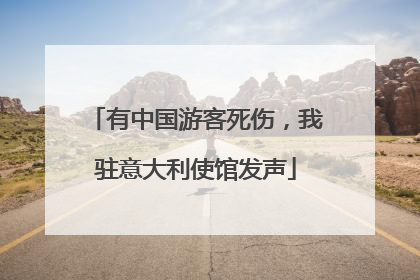 有中国游客死伤，我驻意大利使馆发声