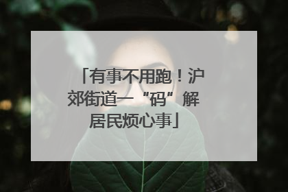 有事不用跑！沪郊街道一“码”解居民烦心事