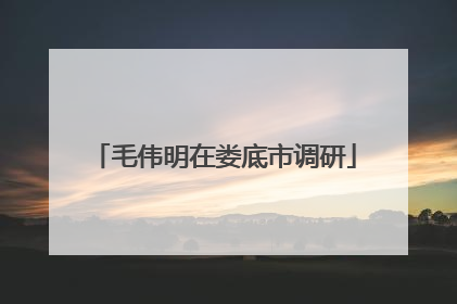 毛伟明在娄底市调研