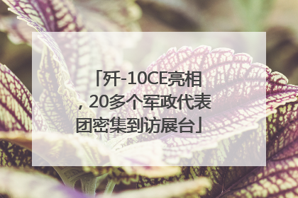 歼-10CE亮相，20多个军政代表团密集到访展台