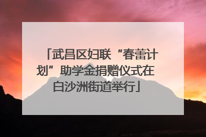 武昌区妇联“春蕾计划”助学金捐赠仪式在白沙洲街道举行