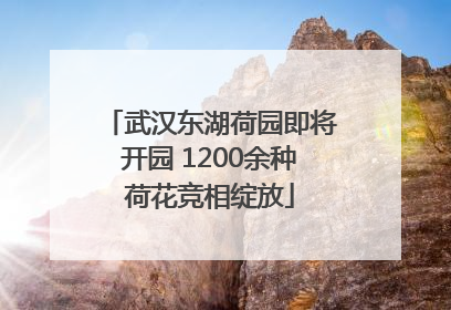 武汉东湖荷园即将开园 1200余种荷花竞相绽放