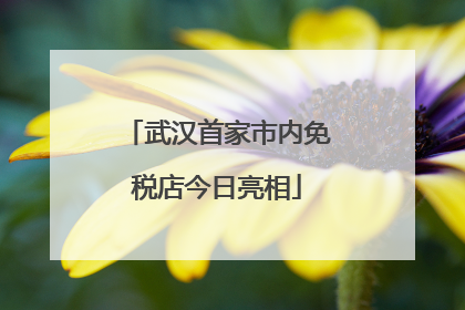 武汉首家市内免税店今日亮相