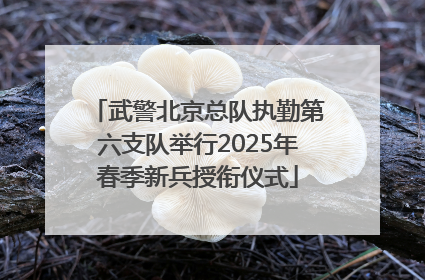 武警北京总队执勤第六支队举行2025年春季新兵授衔仪式