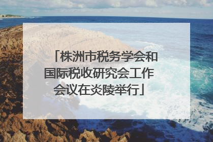 株洲市税务学会和国际税收研究会工作会议在炎陵举行