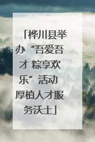 桦川县举办“吾爱吾才 粽享欢乐”活动 厚植人才服务沃土
