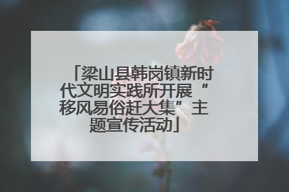 梁山县韩岗镇新时代文明实践所开展“移风易俗赶大集”主题宣传活动
