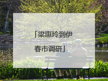 梁惠玲到伊春市调研
