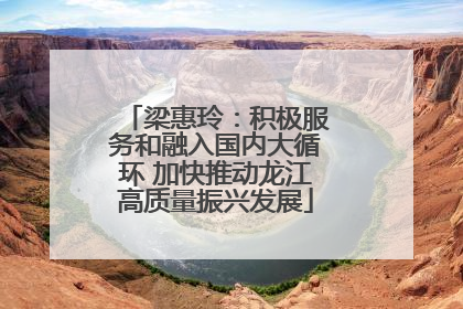 梁惠玲：积极服务和融入国内大循环 加快推动龙江高质量振兴发展