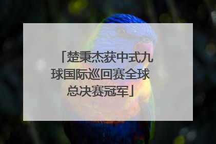 楚秉杰获中式九球国际巡回赛全球总决赛冠军
