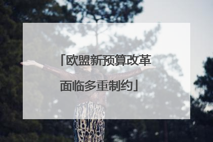 欧盟新预算改革面临多重制约