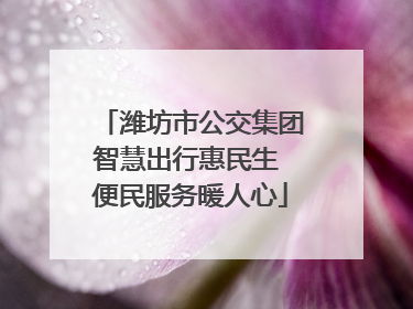 潍坊市公交集团智慧出行惠民生 便民服务暖人心