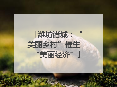 潍坊诸城：“美丽乡村”催生“美丽经济”