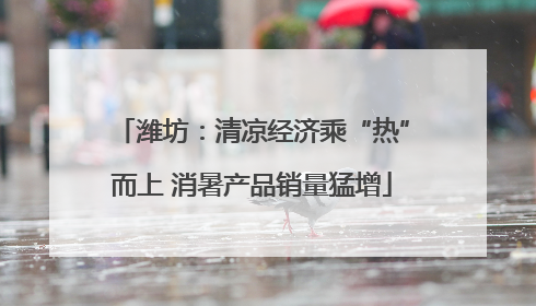 潍坊：清凉经济乘“热”而上 消暑产品销量猛增