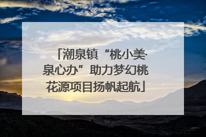 潮泉镇“桃小美·泉心办”助力梦幻桃花源项目扬帆起航