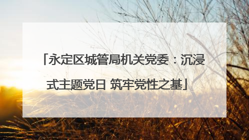 永定区城管局机关党委：沉浸式主题党日 筑牢党性之基