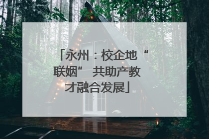 永州：校企地“联姻” 共助产教才融合发展