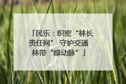 民乐：织密“林长责任网” 守护交通林带“绿动脉”