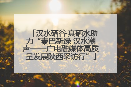 汉水硒谷·真硒水助力“秦巴新绿 汉水潮声——广电融媒体高质量发展陕西采访行”