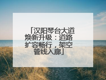 汉阳琴台大道焕新升级：道路扩容畅行，架空管线入廊