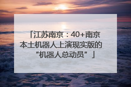 江苏南京：40+南京本土机器人上演现实版的“机器人总动员”