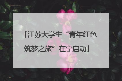 江苏大学生“青年红色筑梦之旅”在宁启动