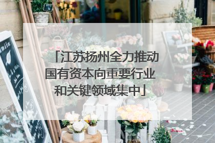 江苏扬州全力推动国有资本向重要行业和关键领域集中