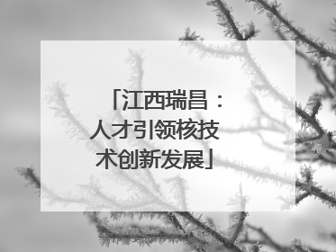 江西瑞昌：人才引领核技术创新发展