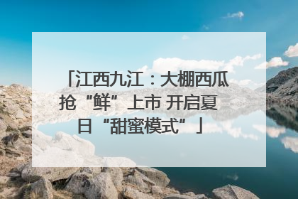 江西九江：大棚西瓜抢“鲜”上市 开启夏日“甜蜜模式”