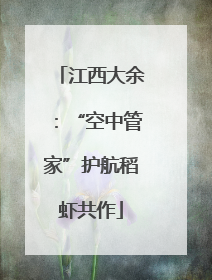 江西大余：“空中管家”护航稻虾共作