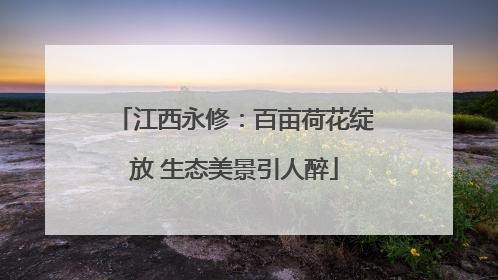 江西永修：百亩荷花绽放 生态美景引人醉