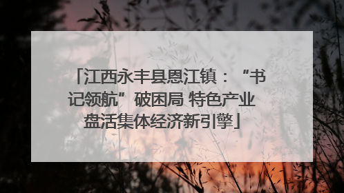 江西永丰县恩江镇：“书记领航”破困局 特色产业盘活集体经济新引擎