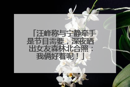 汪峰称与宁静牵手是节目需要，深夜晒出女友森林北合照：我俩好着呢！