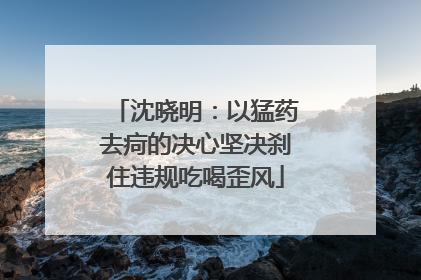 沈晓明：以猛药去疴的决心坚决刹住违规吃喝歪风