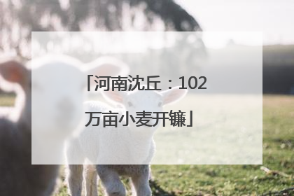 河南沈丘：102 万亩小麦开镰