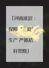 河南淮滨：保障“三夏”生产 严抓秸秆禁烧