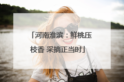 河南淮滨：鲜桃压枝香 采摘正当时
