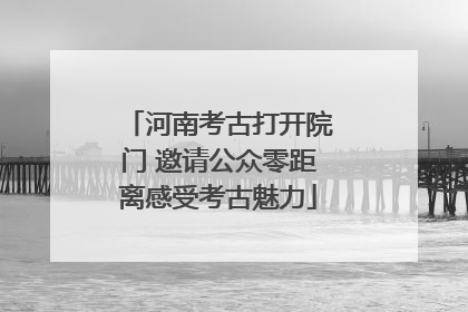 河南考古打开院门 邀请公众零距离感受考古魅力