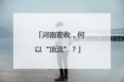 河南麦收，何以“顶流”？