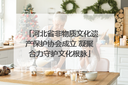 河北省非物质文化遗产保护协会成立 凝聚合力守护文化根脉