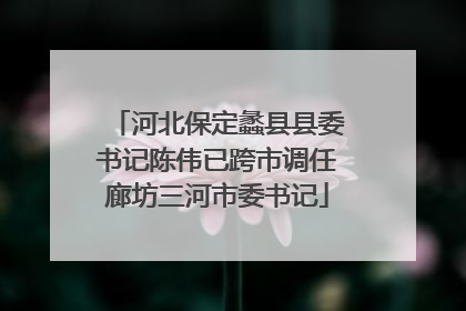 河北保定蠡县县委书记陈伟已跨市调任廊坊三河市委书记