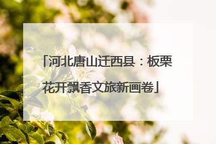 河北唐山迁西县：板栗花开飘香文旅新画卷
